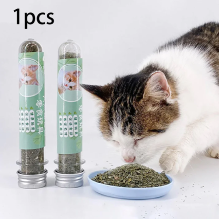 Natural Catnip Shaker Tube - Premium Organic Cat Nip for Play, Digestion & Stress Relief - 1pc High-Potency Feline Treat