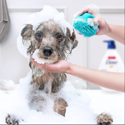 Soft Silicone Bath Brush for Cats & Dogs – 2-in-1 Pet Grooming Scrubber with Built-in Shampoo Dispenser – Gentle Massage & Shedding Tool